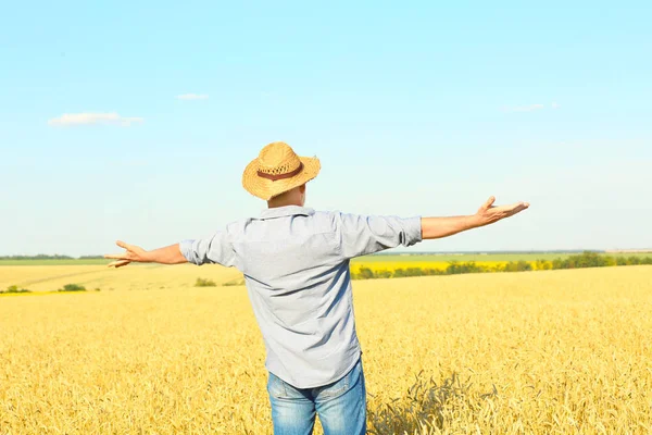 Зрілий фермер стоїть в полі — стокове фото