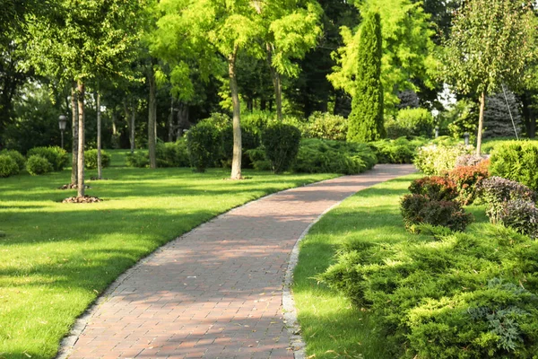 Vacker grön park — Stockfoto