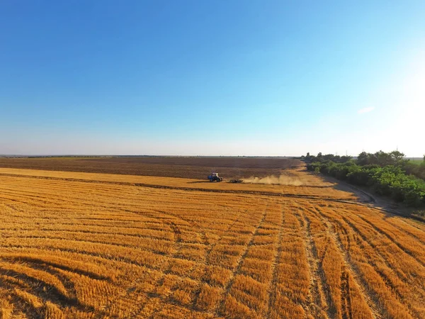 Beautiful field on sunny day — Stock Photo, Image