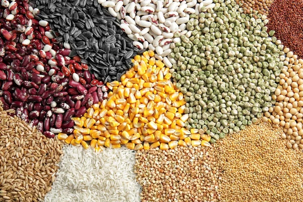 Diferentes cereais e leguminosas — Fotografia de Stock