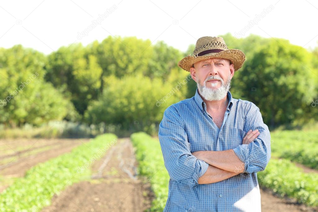 Mature farmer in field