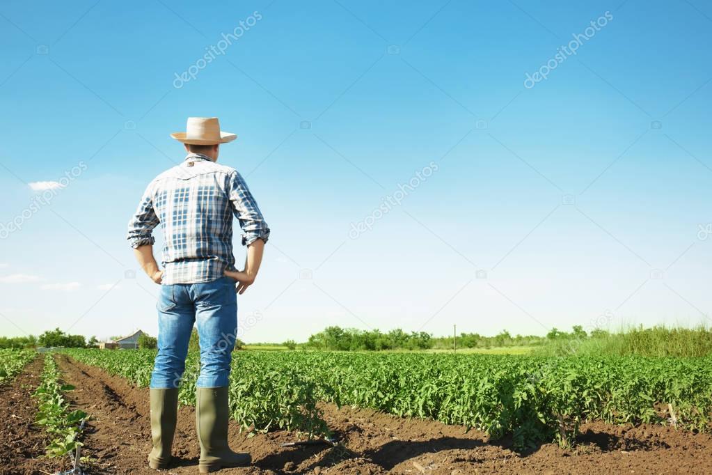 Farmer standing in field with green plants