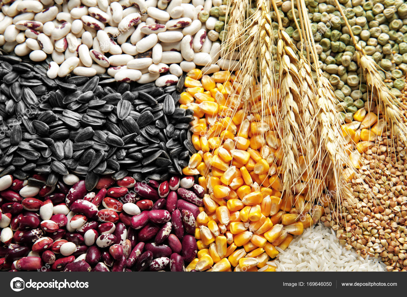 Different cereals and legumes Stock Photo by ©belchonock 169646050