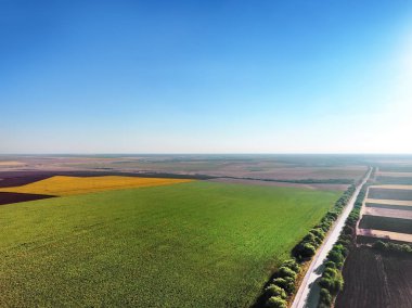 Güzel tarımsal alanları