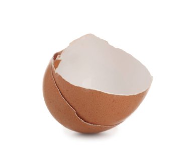 beyaz zemin üzerine yumurta kabuğu