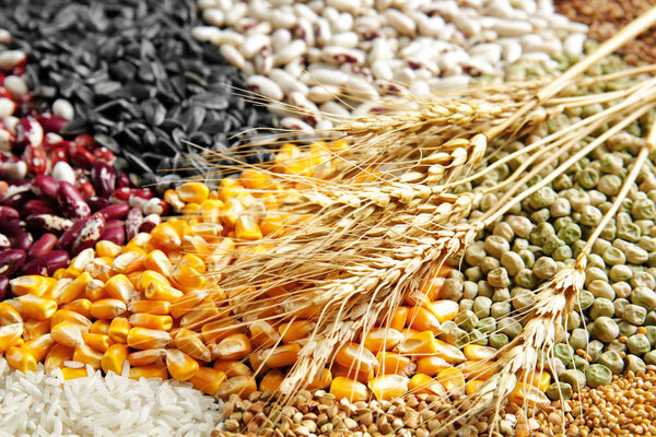 Different cereals and legumes