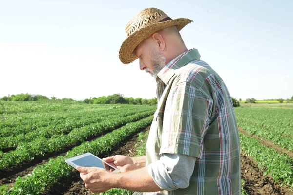 Landbouwproducent met gebruikmaking van tablet in veld — Stockfoto