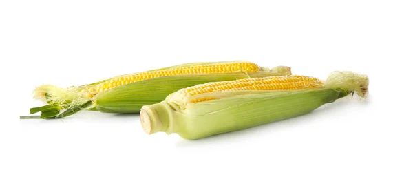 Fresh corn cobs — Stock Photo, Image