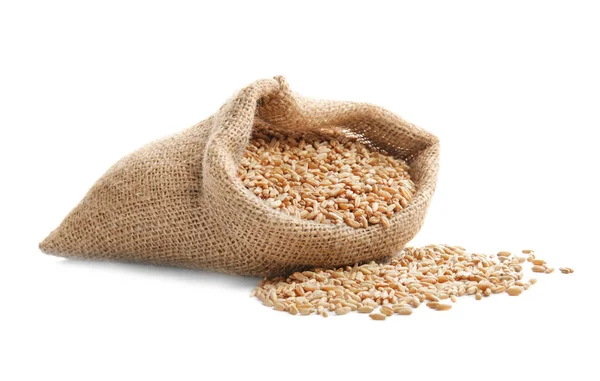 buğday tahıl ile çanta  