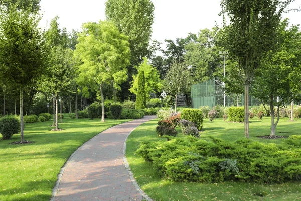 Krásný zelený park — Stock fotografie