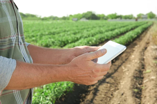 Фермер використовує планшет у полі — стокове фото