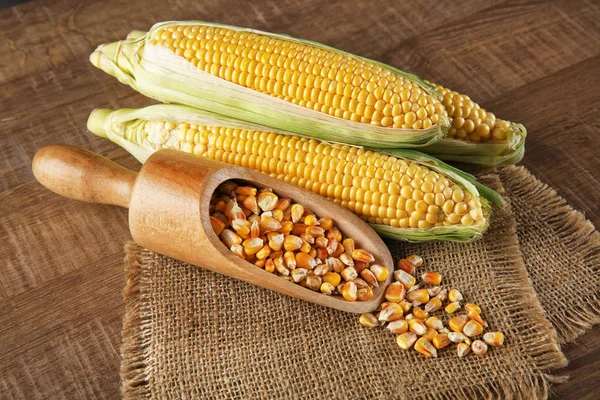 Composition with fresh corn — Stock Photo, Image