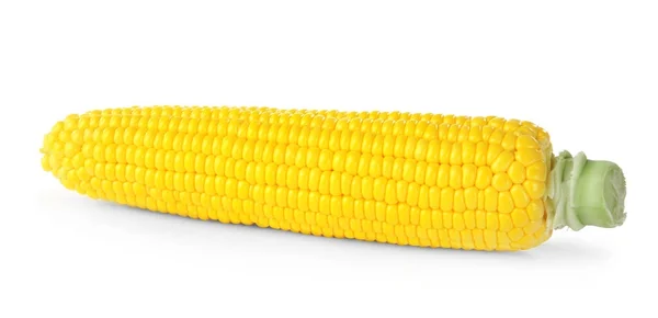 Kolba kukurydzy świeżej — Zdjęcie stockowe