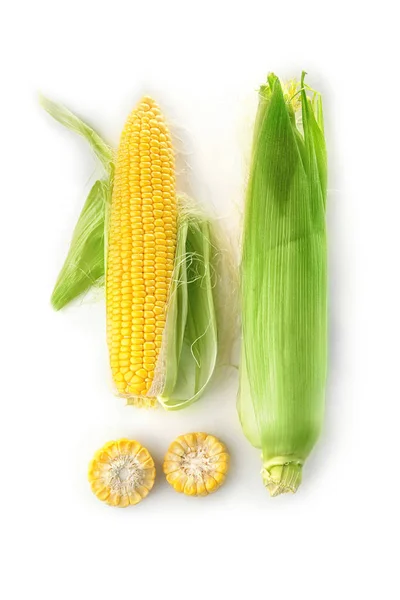 Ripe corn cobs on white background — Stock Photo, Image