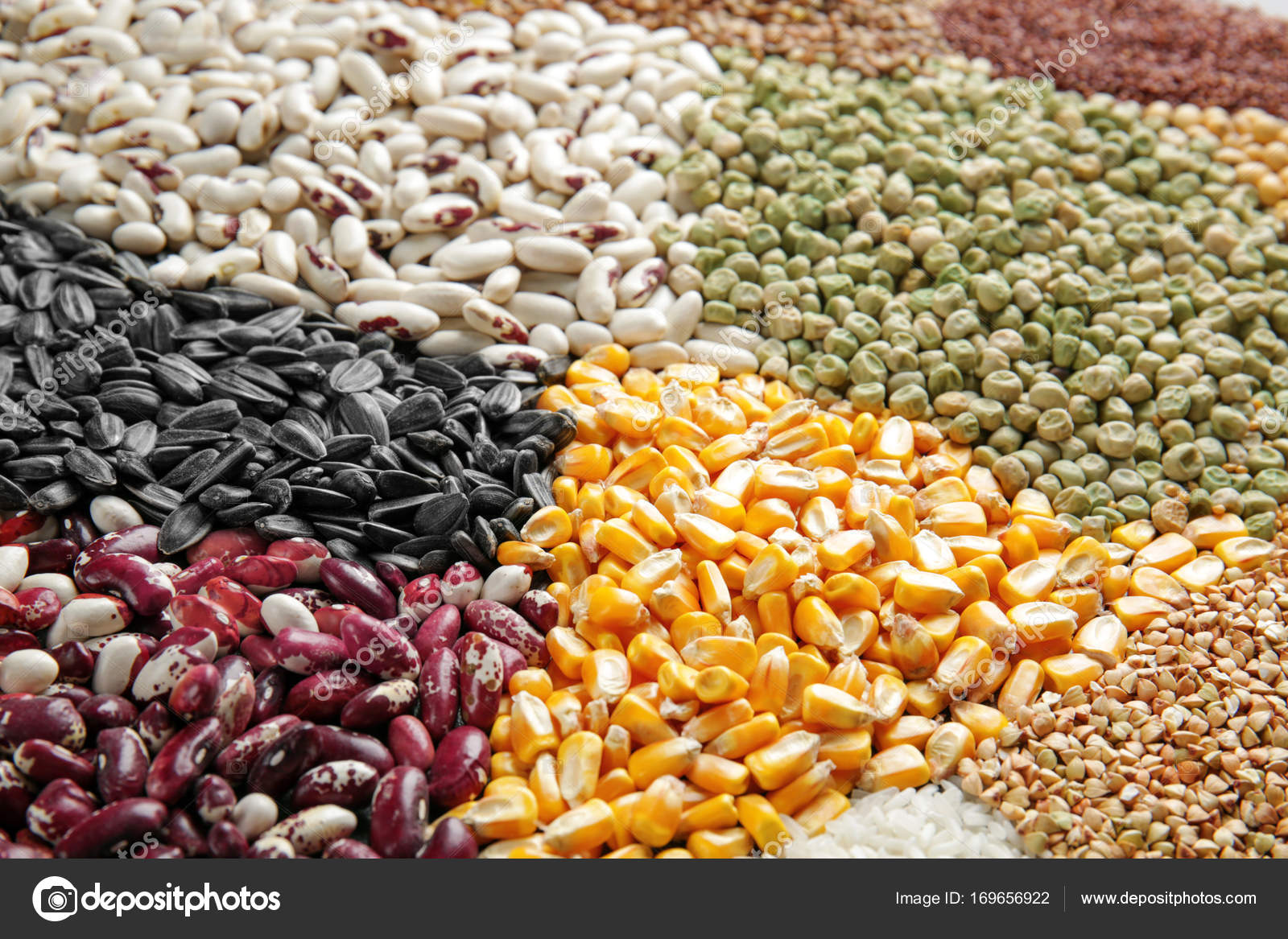 LEGUMINOSAS Y CEREALES EPUB DOWNLOAD LEGUMINOSAS Y CEREALES EPUB DOWNLOAD