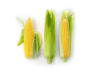 Beyaz arka plan üzerinde olgunlaşmış mısır koçanı