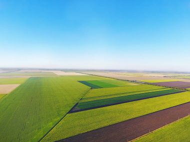 Güzel tarımsal alanları
