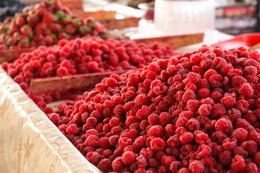 Markette taze frambuaz