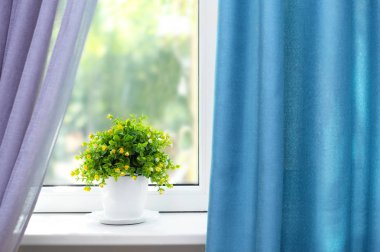 Houseplant güzel manzara pencere ve perdeler