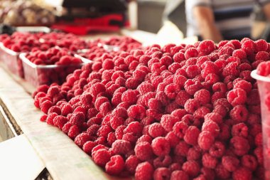 Markette taze frambuaz