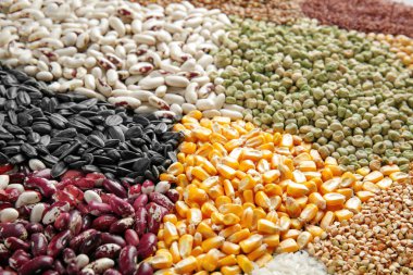 Farklı tahıl ve baklagiller