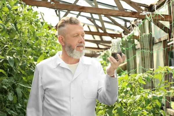 Mature farmer holding flask with soil in greenhouse — Stock Photo, Image