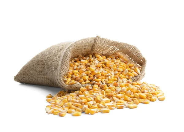 Kuivatun maissin pussi — kuvapankkivalokuva