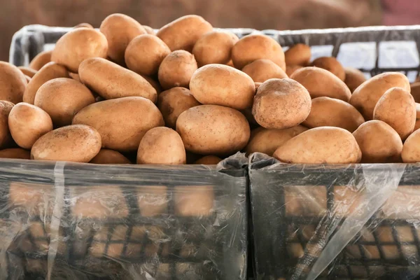 Patatas frescas en cajas de plástico — Foto de Stock