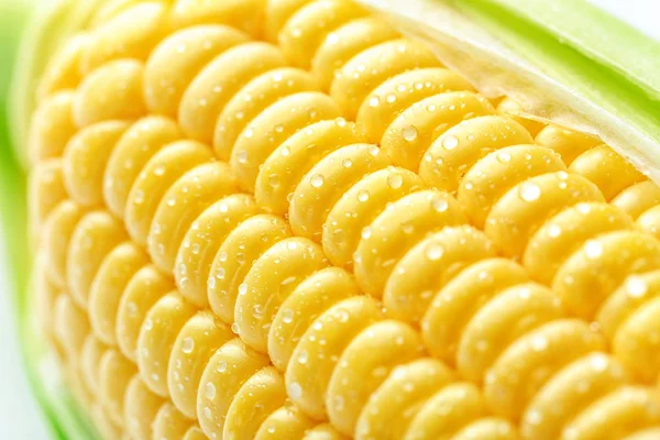 Fresh corn cob — Stock Photo, Image