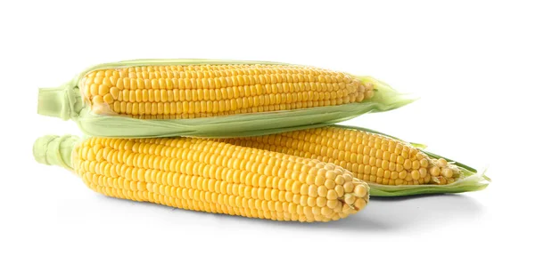 Fresh corn cobs — Stock Photo, Image