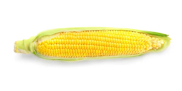 Čerstvá kukuřice — Stock fotografie