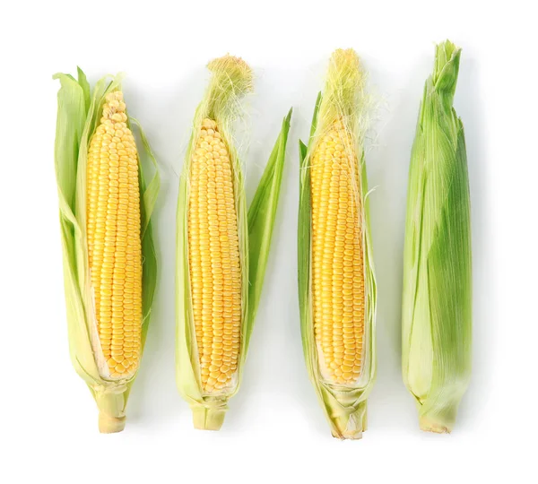 Friss kukorica csövek — Stock Fotó