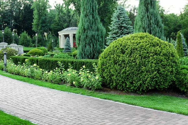 Beautiful green park — Stock Photo, Image