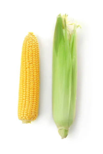 Ripe corn cobs on white background — Stock Photo, Image