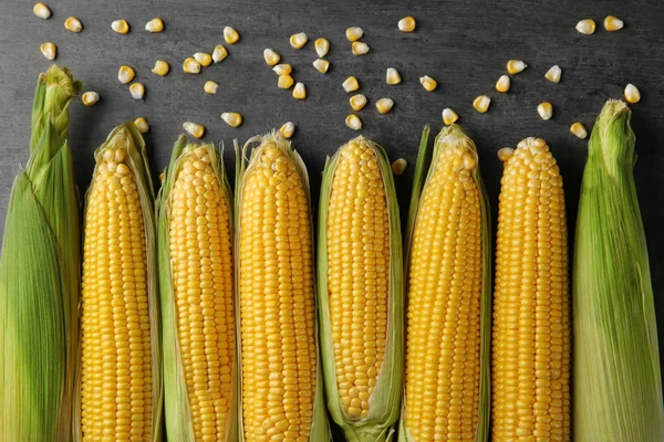 Čerstvé kukuřice cobs na šedém pozadí — Stock fotografie