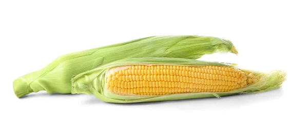 Friss kukorica csövek, elszigetelt fehér — Stock Fotó