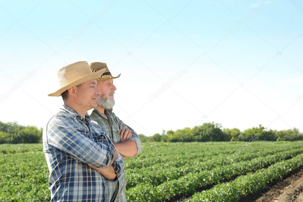 Two farmers standing in field with green plants