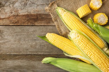 Tahta masada taze mısır koçanları.