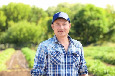 Alandaki olgun çiftçi