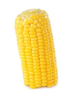 Taze mısır mısır koçanı parçası