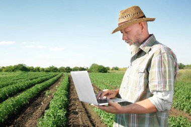 Alandaki dizüstü kullanarak çiftçi