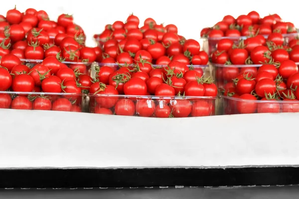 Świeże pomidory w pojemnikach — Zdjęcie stockowe