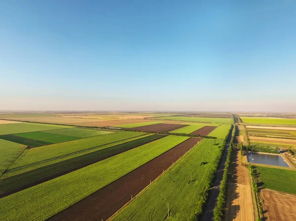 Güzel tarımsal alanları