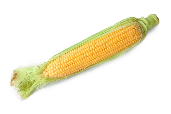 Fresh corn cob — Stock Photo, Image