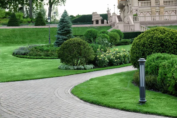 Vacker grön park — Stockfoto