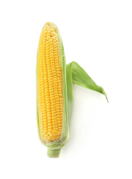 Ripe corn cob on white background — Stock Photo, Image