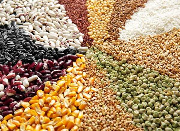 Diferentes cereales y legumbres — Foto de Stock