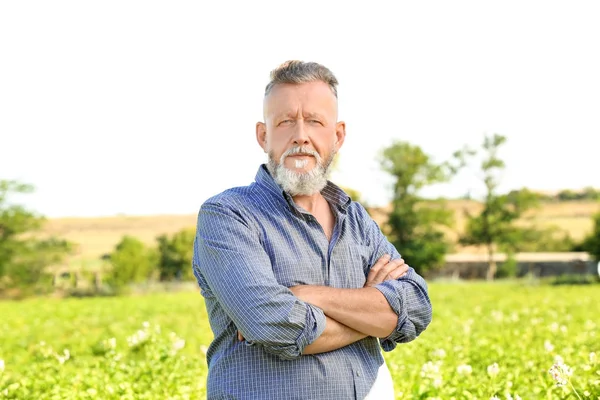 フィールドの成熟した農家 — ストック写真