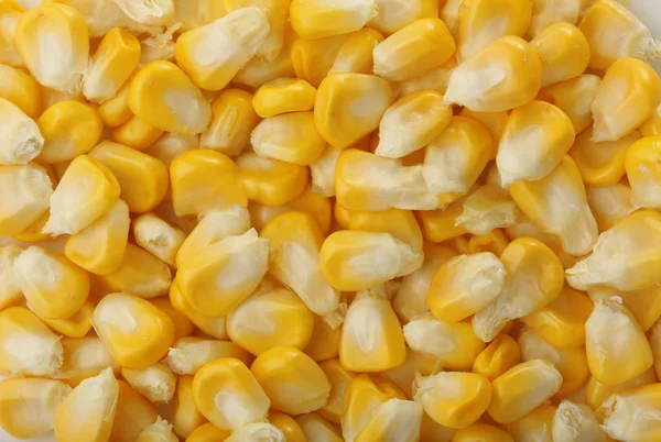 Сладкие кукурузные зерна — стоковое фото