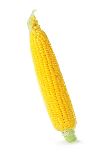 Fresh corn cob — Stock Photo, Image